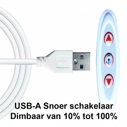 LED-neonlamp Stitch met ijsje – Kinderkamer, Game Room, Slaapkamer, USB, Verstelbare Lichtsterkte